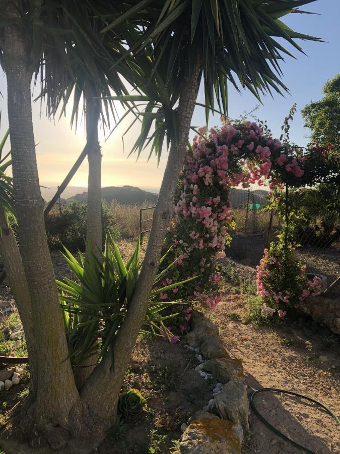 Las Ninas Vejer de la Frontera Zewnętrze zdjęcie